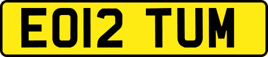 EO12TUM