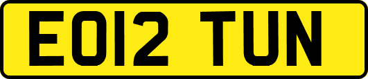 EO12TUN