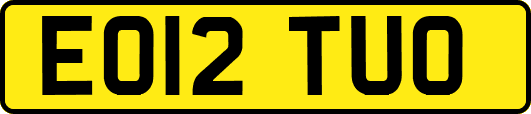 EO12TUO