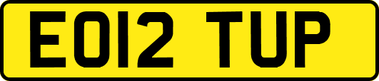EO12TUP