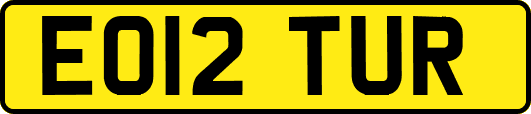 EO12TUR