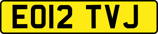 EO12TVJ