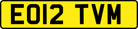 EO12TVM