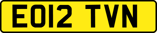 EO12TVN