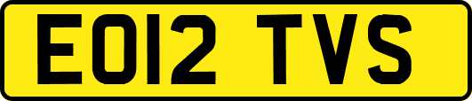 EO12TVS