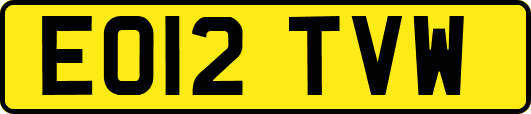 EO12TVW