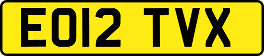 EO12TVX