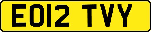 EO12TVY