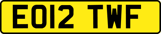 EO12TWF