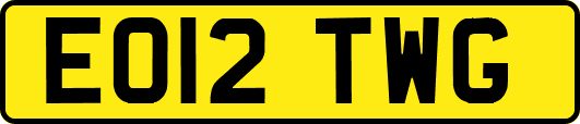 EO12TWG