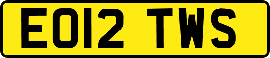 EO12TWS
