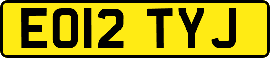EO12TYJ
