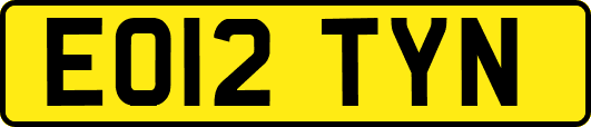 EO12TYN