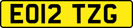 EO12TZG