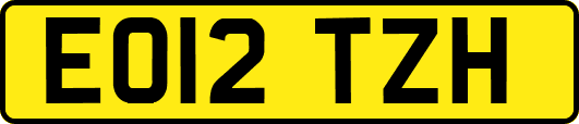 EO12TZH