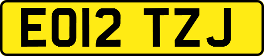 EO12TZJ