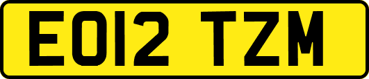 EO12TZM