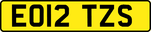EO12TZS