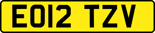 EO12TZV