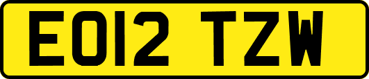 EO12TZW