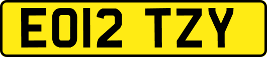 EO12TZY