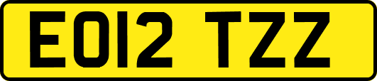EO12TZZ