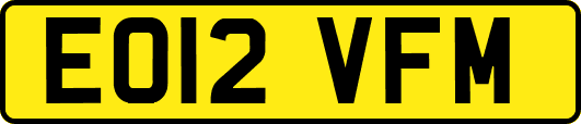 EO12VFM