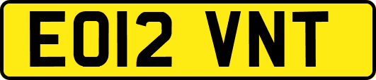 EO12VNT