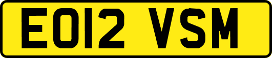 EO12VSM