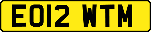 EO12WTM