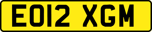 EO12XGM