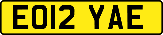 EO12YAE