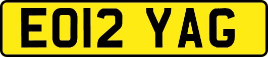 EO12YAG