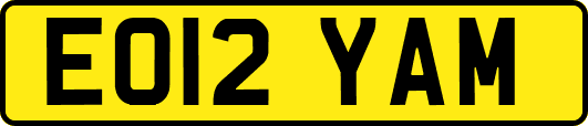 EO12YAM