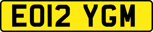 EO12YGM