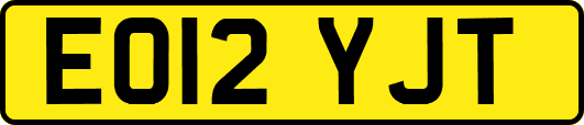 EO12YJT