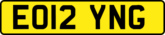 EO12YNG