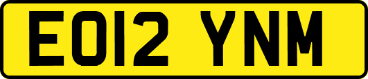 EO12YNM