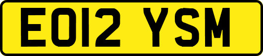 EO12YSM
