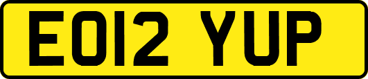 EO12YUP