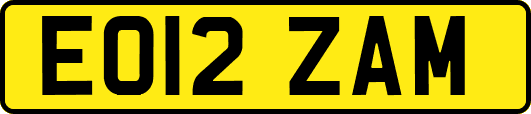 EO12ZAM