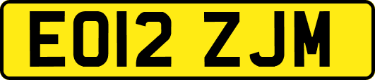 EO12ZJM