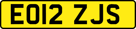 EO12ZJS