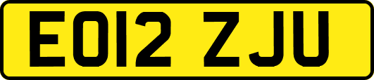 EO12ZJU