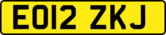 EO12ZKJ