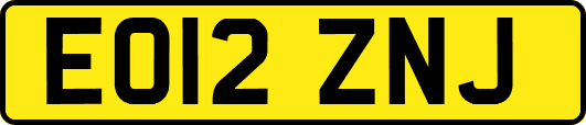 EO12ZNJ