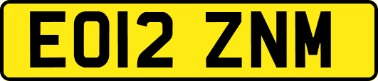EO12ZNM