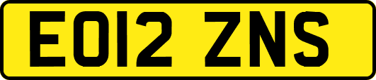 EO12ZNS