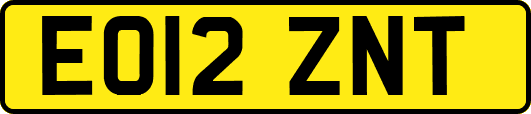 EO12ZNT