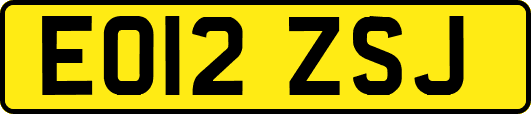 EO12ZSJ